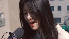 樱花蕾丝