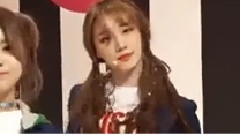 WEE WOO 直拍版