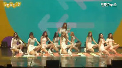 Wee Woo & Black Widow