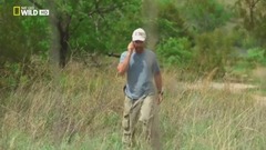 国家地理频道:狮语者 - 凯文·理查森 Wild The Lion Whisperer