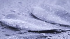 Sometimes When It Rains...