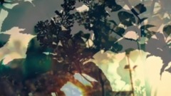 夜色这样的特别【夜曲萧邦】嵘的秘密