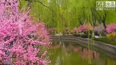 音乐短片