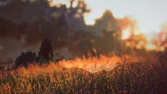 比安科尼抒情曲