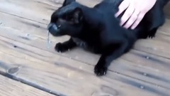 Gdy pchasz nos tam gdzie nie trzeba