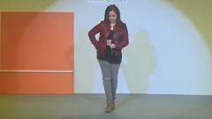 穿花蝴蝶