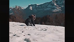 Vivre