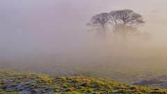 瑞士乔瓦尼乐队作品【宁静山谷II】