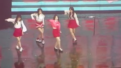Rookie