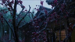 竹语笛音<凉凉>