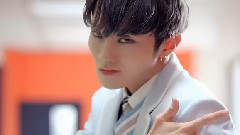 SWIN-刘也