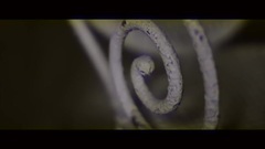 Now Or Never (West.K Short Edit)