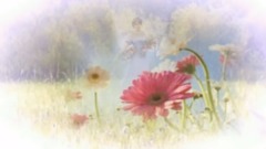 Spring of Love Richard Clayderman