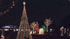 日本夜景巡游 - 彩灯•烟花