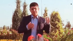 Guller Açıyor