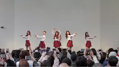 春之国的故事