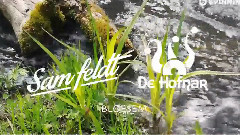 Sam Feldt & De Hofnar - Bloesem (Available July 21)