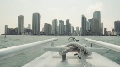 Zwette ft. Molly - Rush (Sam Feldt Remix) [Official Music Video