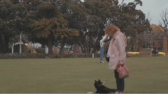 郑基高 - ACROSS THE UNIVERSE Teaser