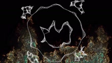 鹿晗全新数字专辑先导概念片