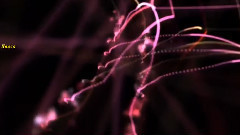 A Voice Of The Universe