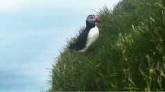 勇敢从心之旅<先锋>