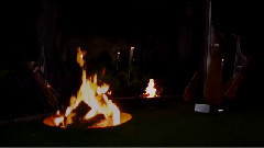 美女竖琴演奏 黑暗之魂(Gwyn,Lord Of Cinder)