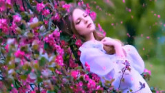 Purple. The Color Of Blood