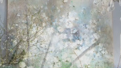 White... The Color Of Time