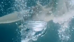 Magic World Of Illusions