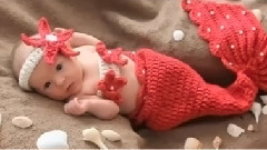 Little and Cute Baby Mermaids