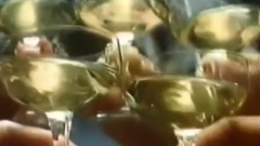 Luxury Elite Shadows