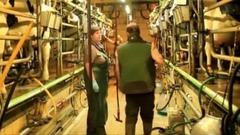 Intelligent Technology Smart Farming Automatic Cow Milking Machine, Feeding, Cleaning, Washing