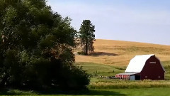 帕卢斯华盛顿七月美