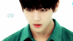 BTS GAYO