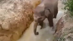 世上只有妈妈好