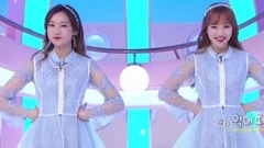 鳄鱼群