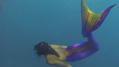 水中人魚写真