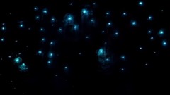 一闪一闪亮晶晶