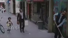 一匹白马