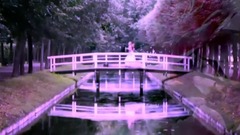 I'm In Love With You