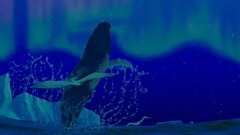 幻想曲2000:雷斯庇基交响诗《罗马之松》