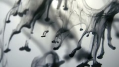 Porsche Black Edition DC