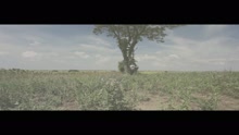 Némán állni (videoklip)