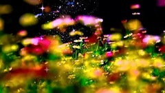 Spring love