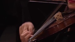 Waldbuhne 2014- Gustavo Dudamel conducts Tchaikovsky and Brahms