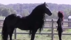 Dünyan n En Yak kl At