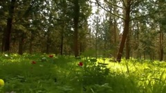 Imagine Light (Original Mix) by Yeiskomp Records