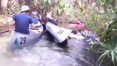 People Doing Stupid Things