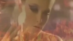 Fresh Fox In The Line Of Fire